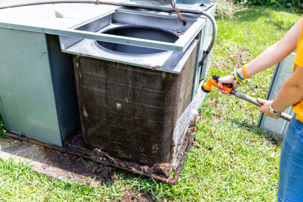 Best Air Vent Cleaning Services  in Walden, TN