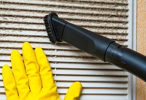Best Home Air Vent Cleaning  in Walden, TN